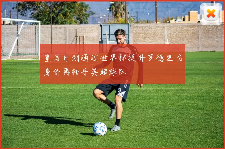 皇马计划通过世界杯提升罗德里戈身价再转手英超球队